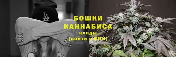 бошки Нея