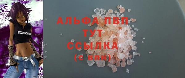 прущие грибы Нефтекумск