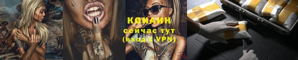 прущие грибы Нефтекумск