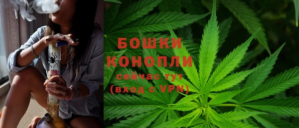 прущие грибы Нефтекумск